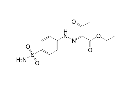 2,3-dioxobutyric acid, ethyl ester, 2-[(p-sulfamoylphenyl)hydrazone]