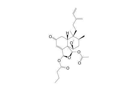 CASEABALANSIN_G;REL-(5-R,6-R,8-S,9-S,10-R,18-S,19-R)-19-ACETOXY-18-BUTANOYLOXY-18,19-EPOXY-6-METHOXYCLERODA-3,13-(16),14-TRIEN-2-ONE