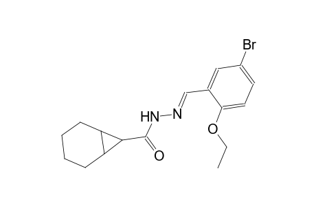 N'-[(E)-(5-Bromo-2-ethoxyphenyl)methylidene]bicyclo[4.1.0]heptane-7-carbohydrazide