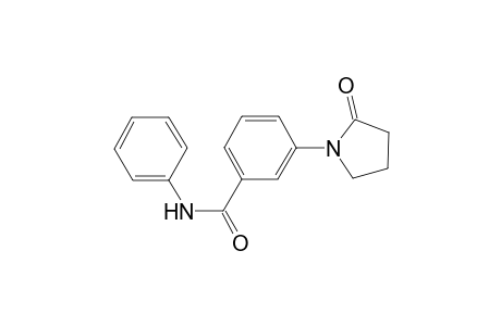 benzamide, 3-(2-oxo-1-pyrrolidinyl)-N-phenyl-