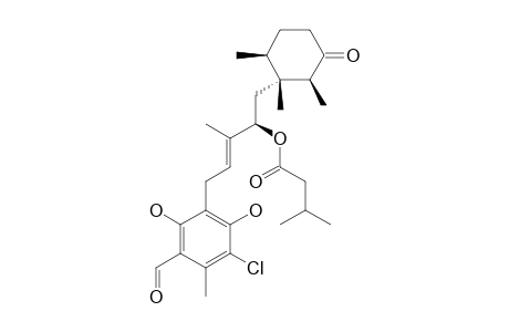 Cylindrol A4