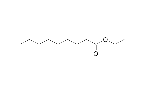Ethyl 5-methylnonanoate