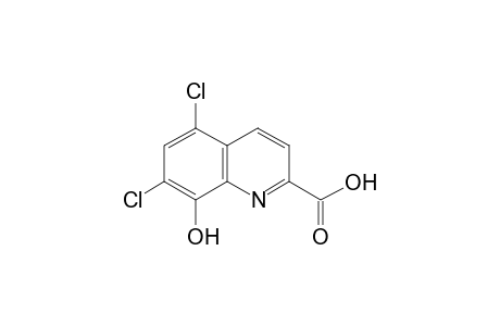 5,7-DICHLORO-8-HYDROXYQUINALDIC ACID