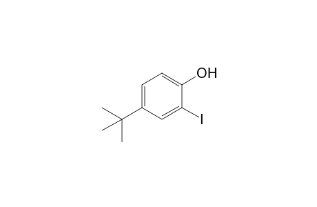 4-t-Butyl-2-iodophenol