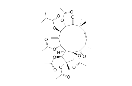 (2R*,3R*,4S*,5R*,7S*,8R*,13R*,15R*)-2,3,5,8,15-PENTAACETOXY-7-ISOBUTYROYLOXY-9,14-DIOXOJATROPHA-6(17),11-DIENE