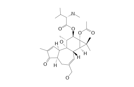 N-METHYL-12-(S-VALINOYL)-13-ACETYL-4-ALPHA-4-DEOXYPHORBOL