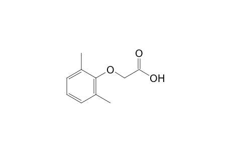 2,6-Dimethylphenoxyacetic acid