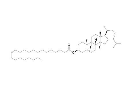 Cholesterol cis-13-docosenoate