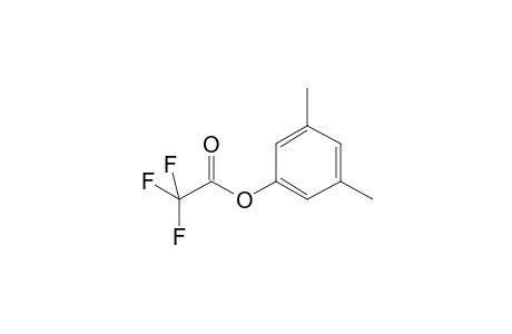 3,5-Dimethylphenyl 2,2,2-trifluoroacetate