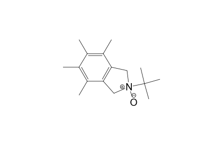 2-tert-butyl-4,5,6,7-tetramethyl-2-oxido-1,3-dihydroisoindol-2-ium