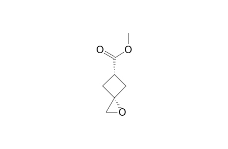 METHYL_CIS-1-OXASPIRO-[2.3]-HEXANE-5-CARBOXYLATE;MINOR_ISOMER