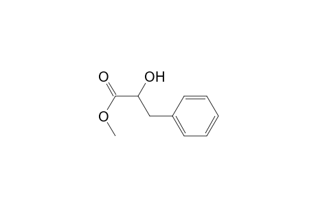 PAPULINE