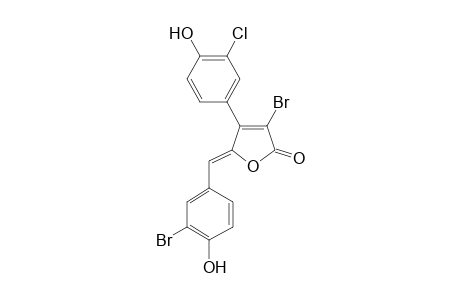 Rubrolide N