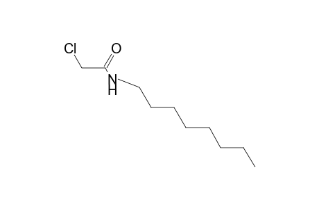 2-chloro-N-octylacetamide