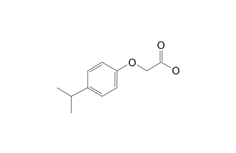 4-Isopropylphenoxyacetic acid