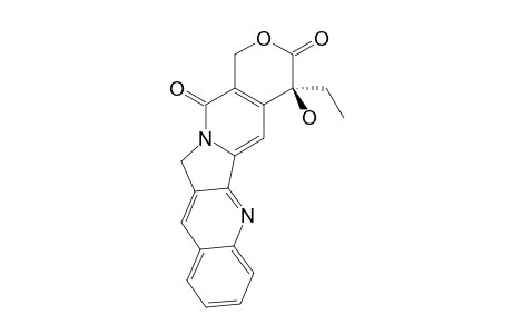CAMPTOTHECINE