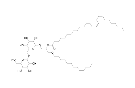 DGDG O-13:1_26:3