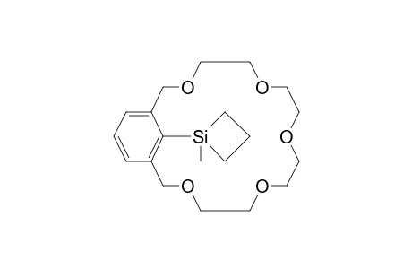 1,3-Xylyl-18-crown-5, 2-(1-methyl-1-silacyclobutyl)-