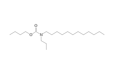 Carbonic acid, monoamide, N-propyl-N-dodecyl-, butyl ester