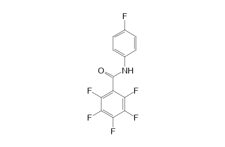 2,3,4,5,6-Pentafluoro-N-(4-fluorophenyl)benzamide