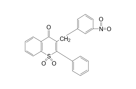 3-(3-NITROBENZYL)-1-THIOFLAVONE-1,1-DIOXIDE