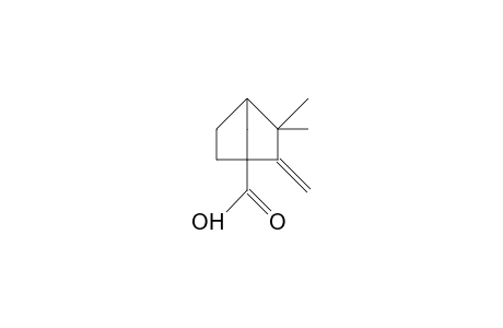 3,3-DIMETHYL-2-METHYLENE-1-NORBORNANECARBOXYLIC ACID