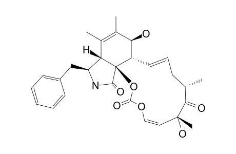 CYTOCHALASIN-K