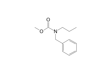 Carbonic acid, monoamide, N-benzyl-N-propyl-, methyl ester