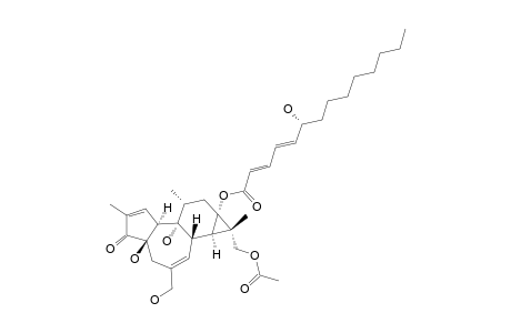 SAPINSIGNOID_A