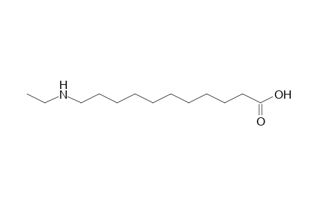 11-Ethylaminoundecanoic acid