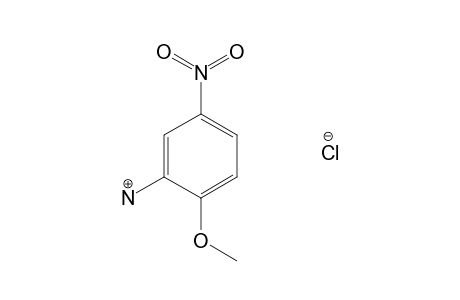 5-nitro-o-anisidine, hydrochloride