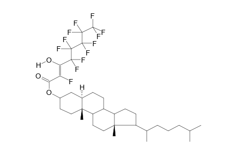 CHOLESTANYL 2-HYDRO-3-OXOPERFLUOROOCTANOATE, ENOL