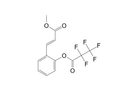 m-Coumaric acid MEPFP