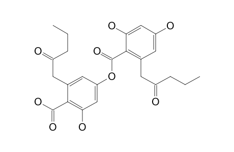 Benzoic acid, 2,4-dihydroxy-6-(2-oxopentyl)-, 4-carboxy-3-hydroxy-5-(2-oxopentyl)phenyl ester