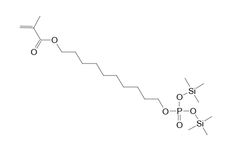 Epricode, 2tms