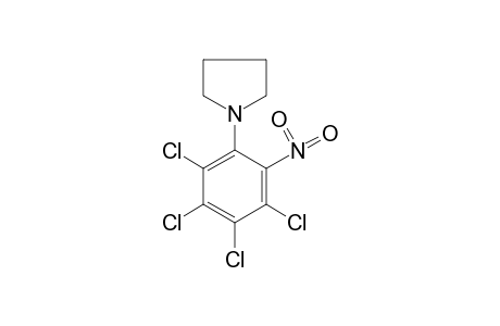 1-(2-nitro-3,4,5,6-tetrachlorophenyl)pyrrolidine