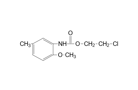 2-methoxy-5-methylcarbanilic acid, 2-chloroethyl ester
