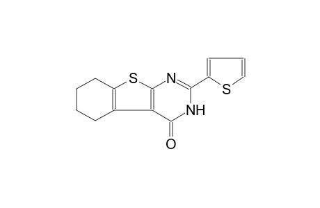 2-(2-thienyl)-5,6,7,8-tetrahydro[1]benzothieno[2,3-d]pyrimidin-4(3H)-one