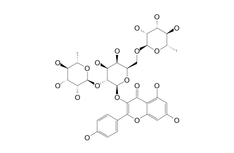 MAURITIANIN;KAEMPFEROL-3-[2-(GALACTOPYRANOSYL)-RHAMNOPYRANOSYL-ROBINOBIOSIDE];KAEMPFEROL-3-[ALPHA-L-RHAMNOPYRANOSYL-(1->2)-ALPHA-L-RHAMNOPYRANOSY-(