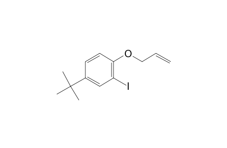 4-Tert-butyl-2-iodo-1-[(prop-2-en-1-yl)oxy]benzene