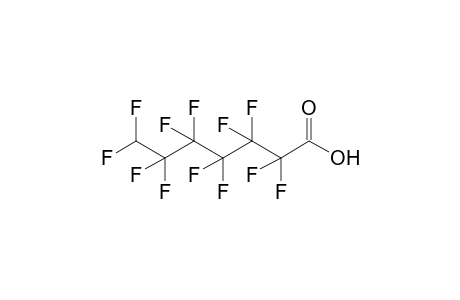 2,2,3,3,4,4,5,5,6,6,7,7-dodecafluoroheptanoic acid