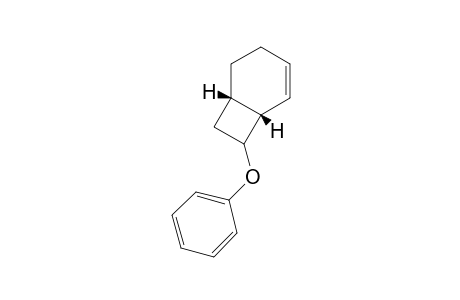 (1S,6R)-7-(phenoxy)bicyclo[4.2.0]oct-4-ene