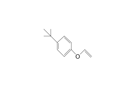 Benzene, 1-(1,1-dimethylethyl)-4-(ethenyloxy)-Ether, p-tert-butylphenyl vinyl