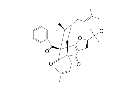 SAMPSONIONE_N