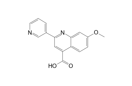 7-Methoxy-2-(3-pyridinyl)-4-quinolinecarboxylic acid