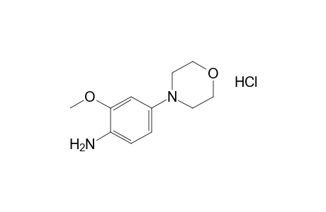 4-(4-amino-3-methoxyphenyl)morpholine, hydrochloride
