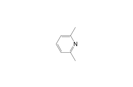 2,6-Lutidine