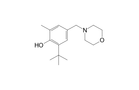 6-tert-BUTYL-alpha4-MORPHOLINO-2,4-XYLENOL