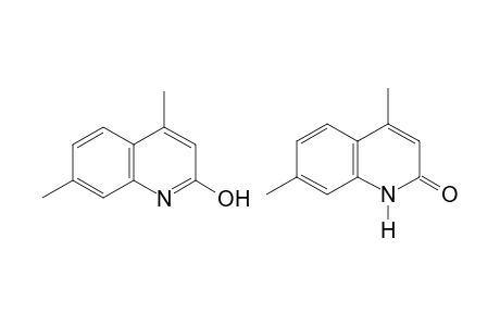 4,7-dimethylcarbostyril