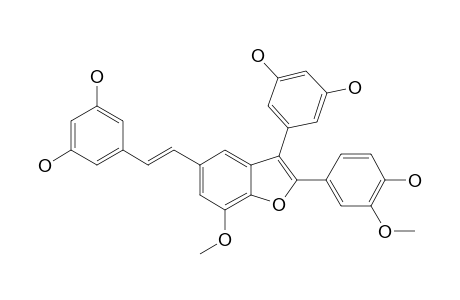 GNETUHAININ-F